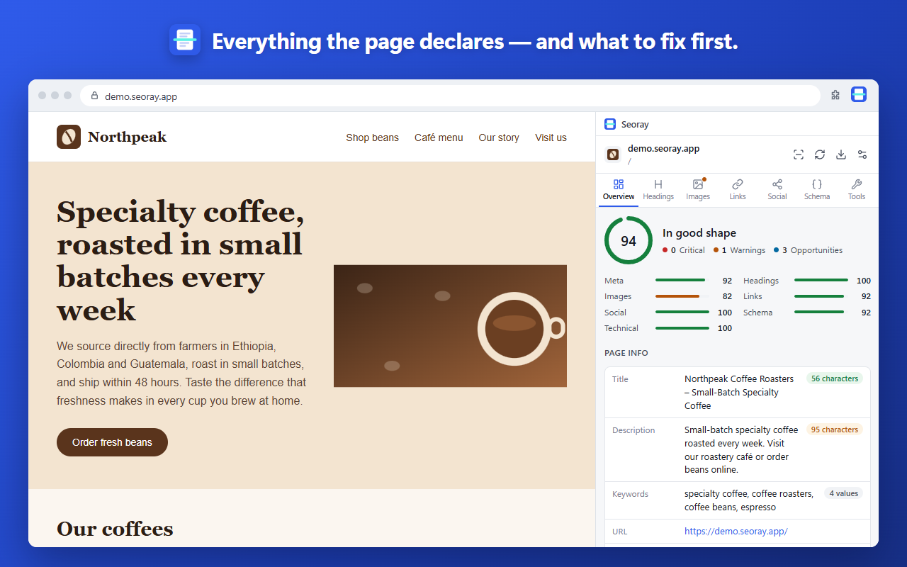 Everything the page declares — and what to fix first.