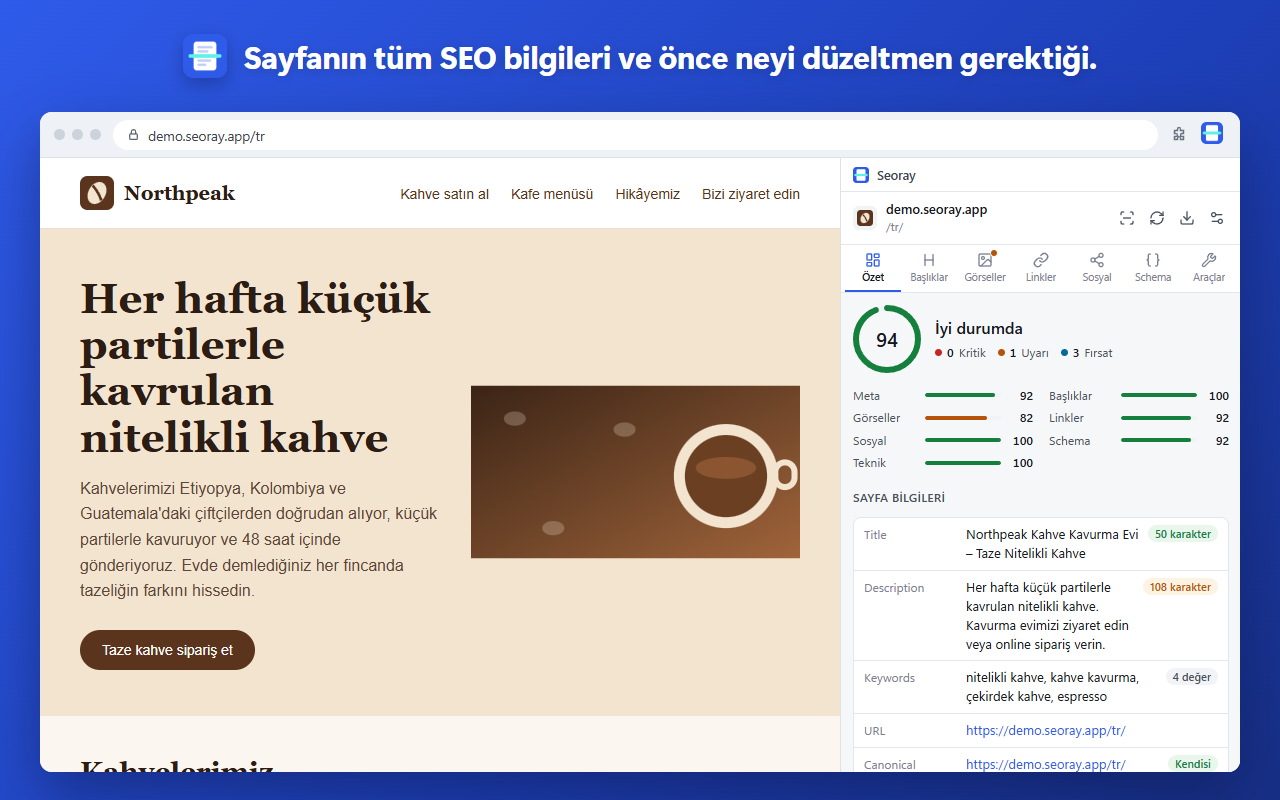 Sayfanın tüm SEO bilgileri ve önce neyi düzeltmen gerektiği.