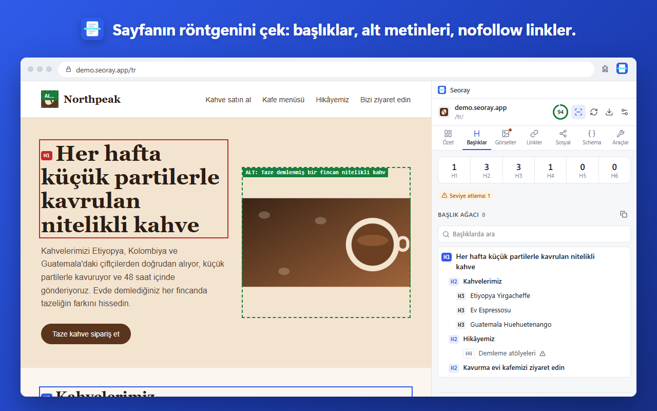 Röntgen modu: başlıklar, alt metinleri ve nofollow linkler sayfada işaretli.