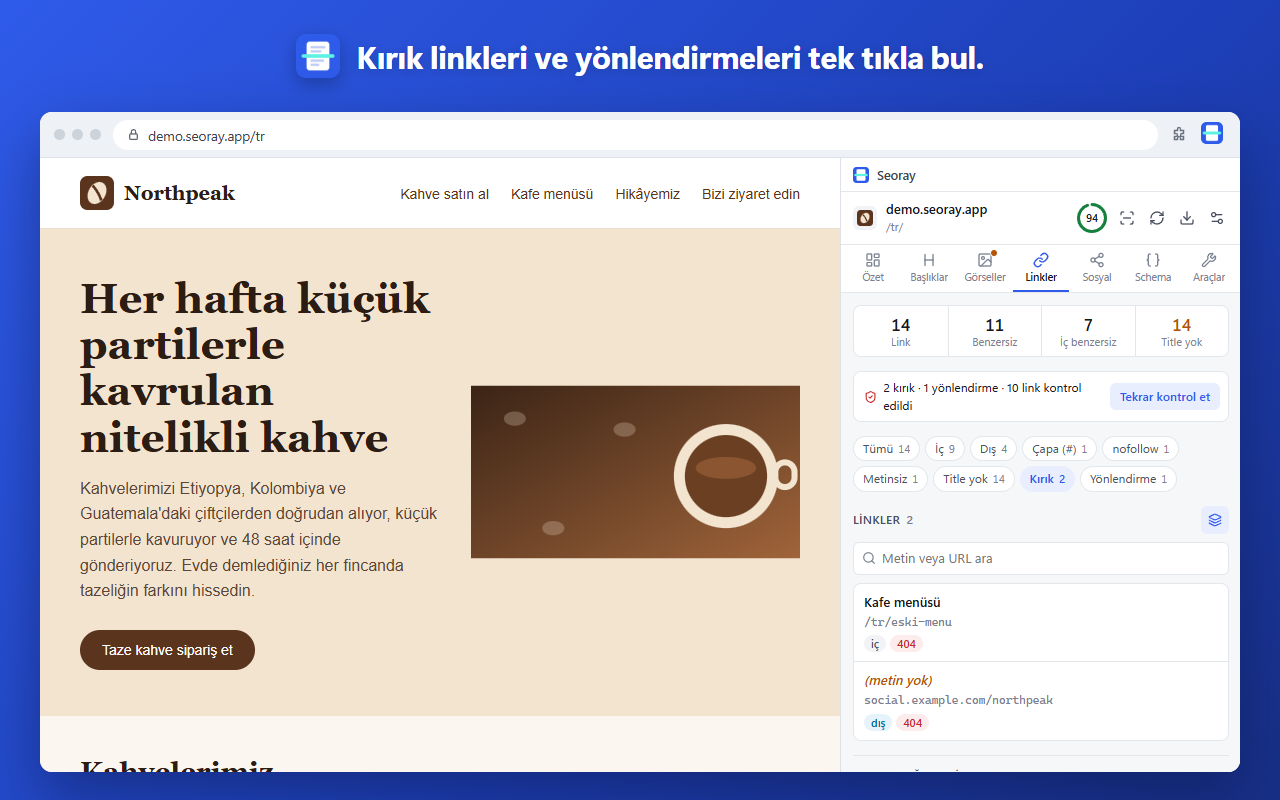 Kırık linkleri ve yönlendirmeleri tek tıkla bul.